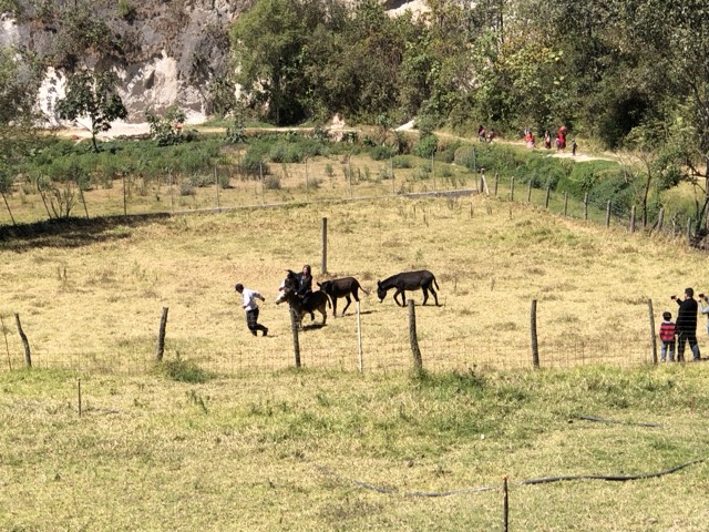 Foto 26 de encuentros anteriores · Odres Nuevos
